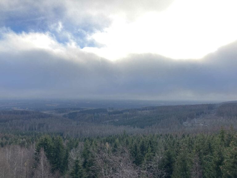 Nachhaltigkeit bei Sequoya 8 lick auf den Nationalpark Harz in dem ein weitläufiges Waldsterben durch den Klimawandel stark beschleunigt wird