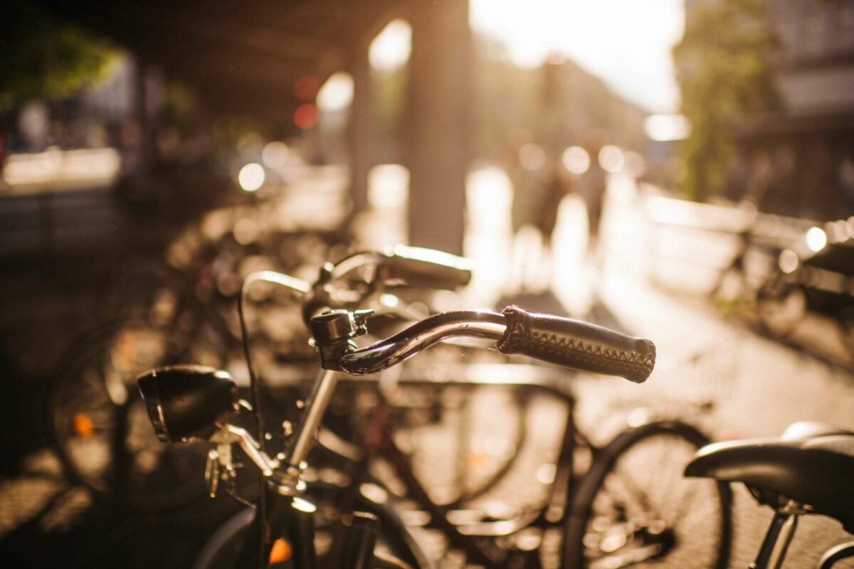 SEQUOYA Business-Coaching