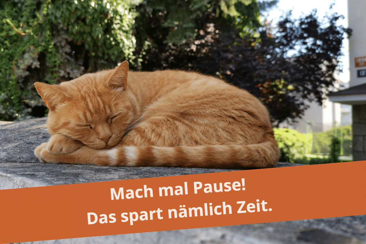 Eine Katze schläft und macht Pause