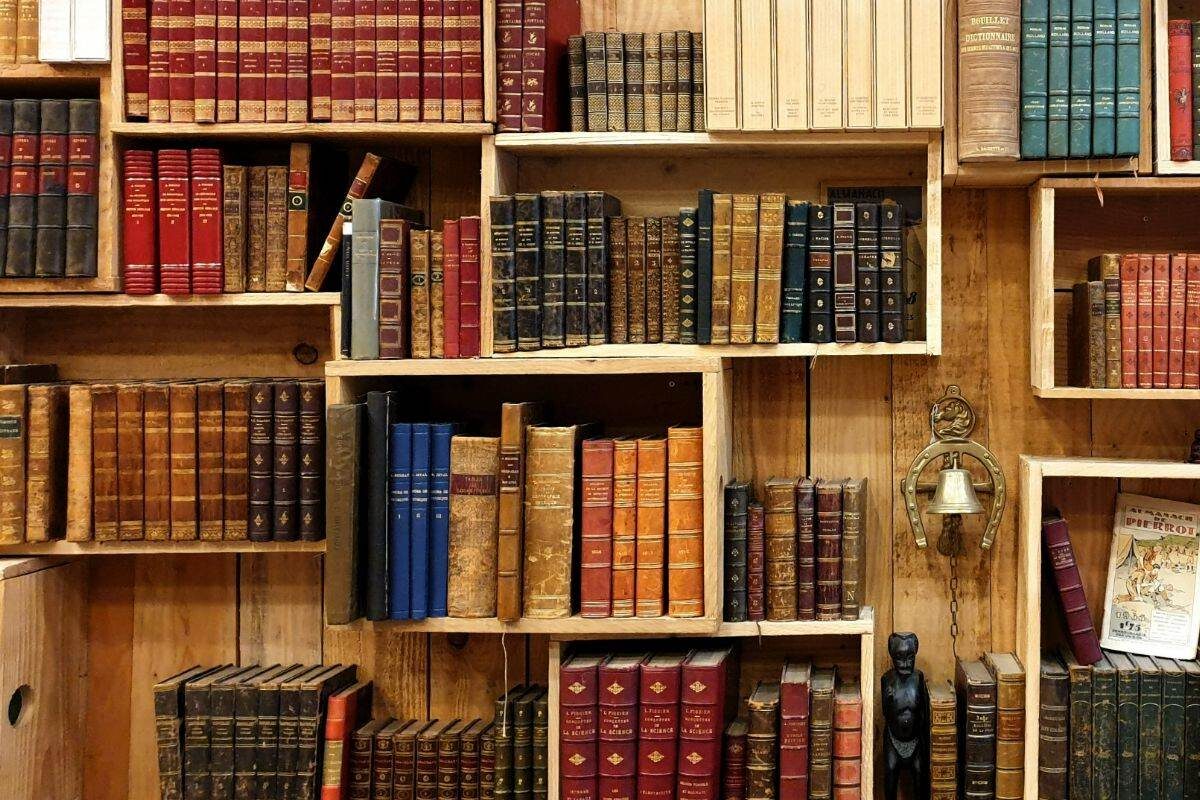 Ein Bücherregal in einer Bibliothek. Geisteswissenschaften zu studieren ist völlig sinnlos? Das stimmt nicht!