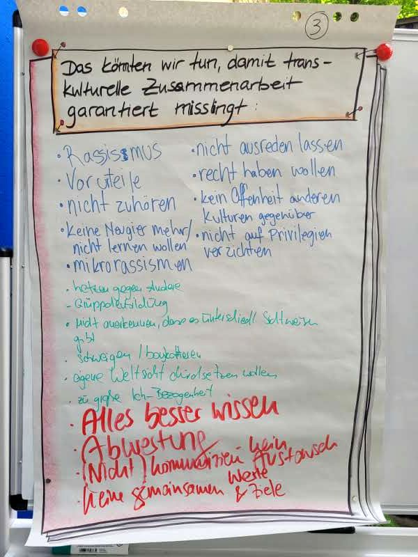 Erfolgsfaktoren für transkulturelle Zusammenarbeit - Ergebnisse aus unserem Sommer-Workshop 5 20240613 161158 web
